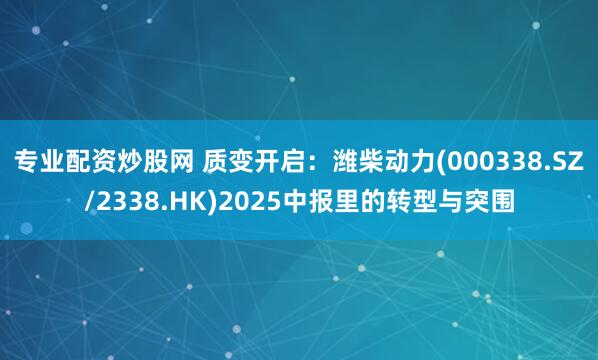 专业配资炒股网 质变开启：潍柴动力(000338.SZ/2338.HK)2025中报里的转型与突围