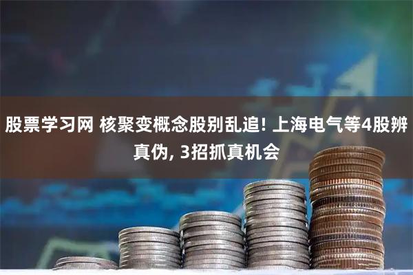 股票学习网 核聚变概念股别乱追! 上海电气等4股辨真伪, 3招抓真机会