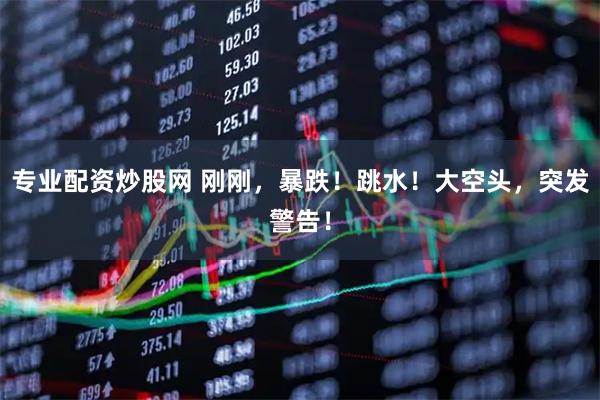 专业配资炒股网 刚刚,暴跌!跳水!大空头,突发警告!